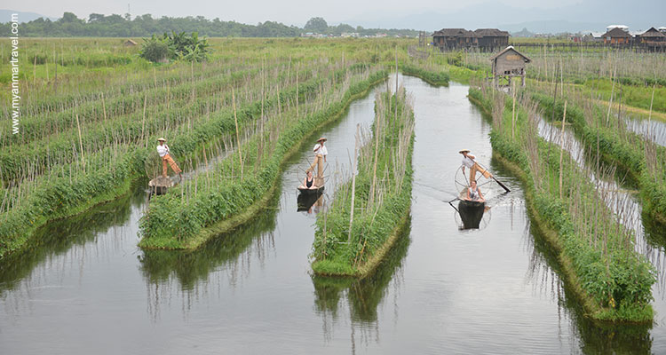 Imperial-Myanmar-9