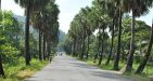 Journey-To-The-Death-Railway-12
