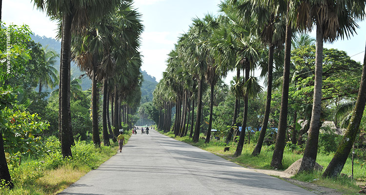 Journey-To-The-Death-Railway-12