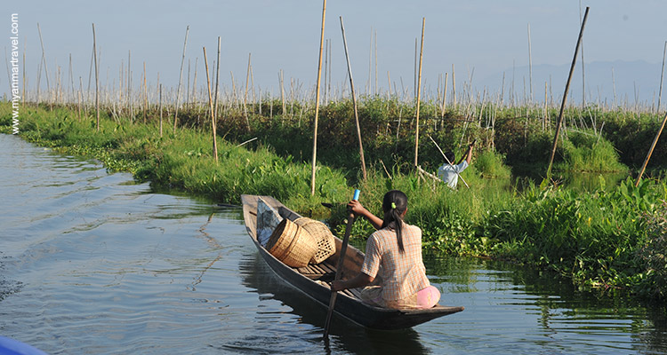 Kalaw-Community-Trail-Inle-Lake-Mystery-3