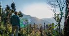 Mount-Victoria-Adventure-3