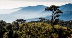 Mount-Victoria-Adventure-4