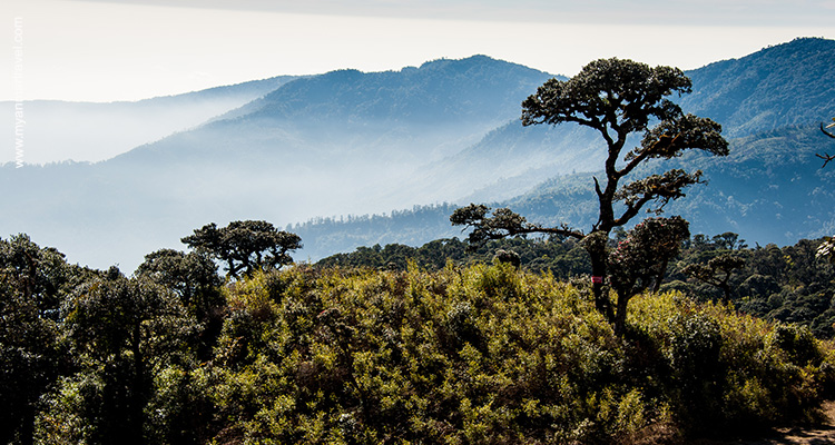 Mount-Victoria-Adventure-4