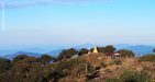 Mount-Victoria-Adventure-5