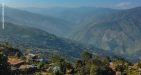 Mount-Victoria-Adventure-6