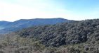 Mount-Victoria-Adventure-7