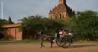 Myanmar-Discovery-6