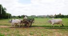 Myanmar-Family-Tour3