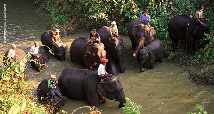 Myanmar Jungle Trekking 5 Days Myanmar Travel