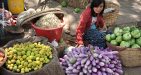 Myanmar-Jungle-Trekking-13