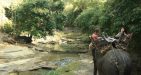 Myanmar-Jungle-Trekking-2