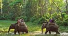 Myanmar-Jungle-Trekking-3