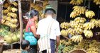 Myanmar-Jungle-Trekking-5