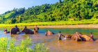 Myanmar-Kalaw---Pindaya-Elephant-Camp-1
