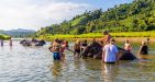 Myanmar-Kalaw---Pindaya-Elephant-Camp-2