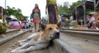 Overland-Myanmar-Adventure-2