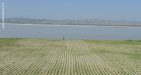 Truly-Myanmar-6
