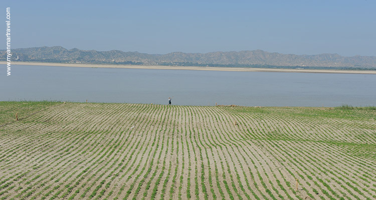 Truly-Myanmar-6