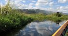 myanmar-bird-watching-tour-10
