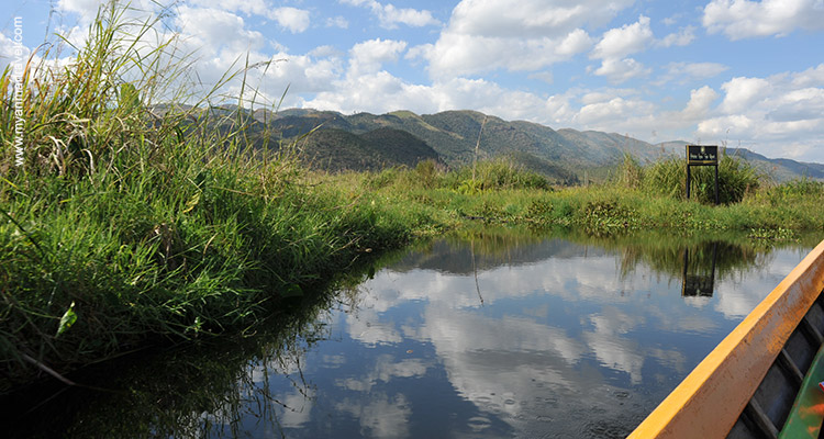 myanmar-bird-watching-tour-10