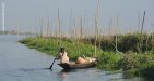 myanmar-bird-watching-tour-14