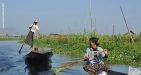 myanmar-bird-watching-tour-15