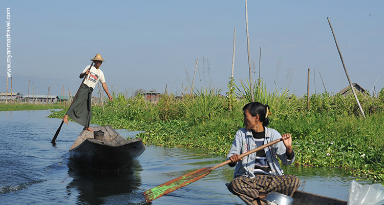 myanmar-bird-watching-tour-15
