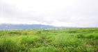 myanmar-bird-watching-tour-2