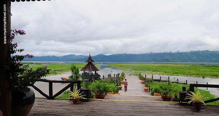 myanmar-bird-watching-tour-3