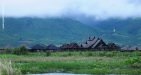 myanmar-bird-watching-tour-4