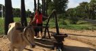 Highlights-Of-Indochina-4