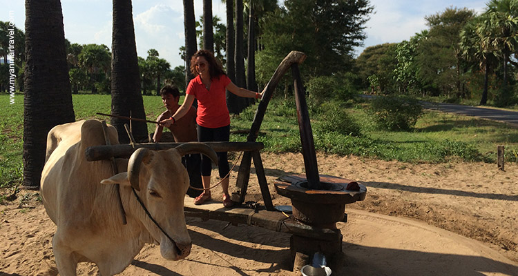 Highlights-Of-Indochina-4