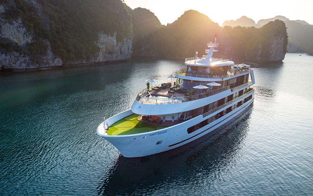 Stellar of the Seas